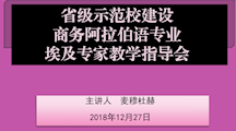 埃及外教举行商务阿语专业教学改革专题讲座